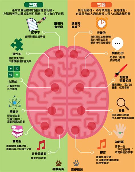 右側臉|你的左腦或右腦弱化快？功能神經學家：從臉看得出。